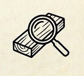 Assessment